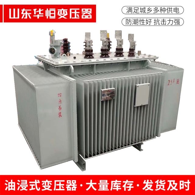 S13-10000/35乐至乐至乐至电力变压器厂家