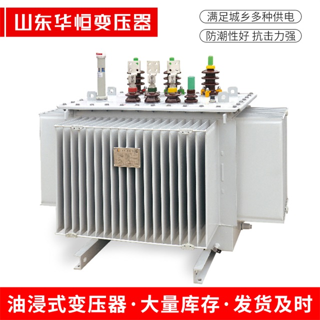 S13-10000/35乐至乐至乐至电力变压器